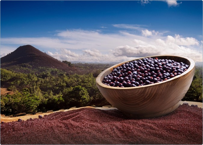 A bowl of acai beans