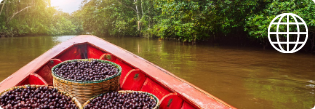 acai beans in baskets